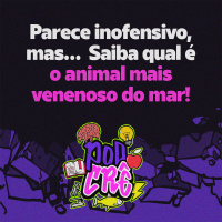 E2: Parece inofensivo, mas… Saiba qual é o animal mais venenoso do mar!