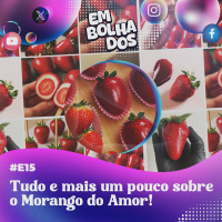 E15: Tudo e mais um pouco sobre o Morango do Amor!