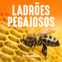 T1E13: Ladrões pegajosos