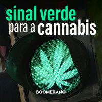 T3E5: Sinal verde para a cannabis