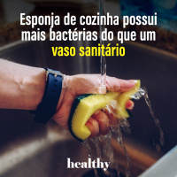 T10E8: Esponja de cozinha possui mais bactérias do que um vaso sanitário