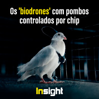 T20E16: Os biodrones com pombos controlados por chip