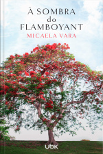À sombra do flamboyant